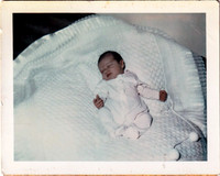 Life Pictures