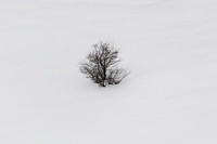 Minimalism